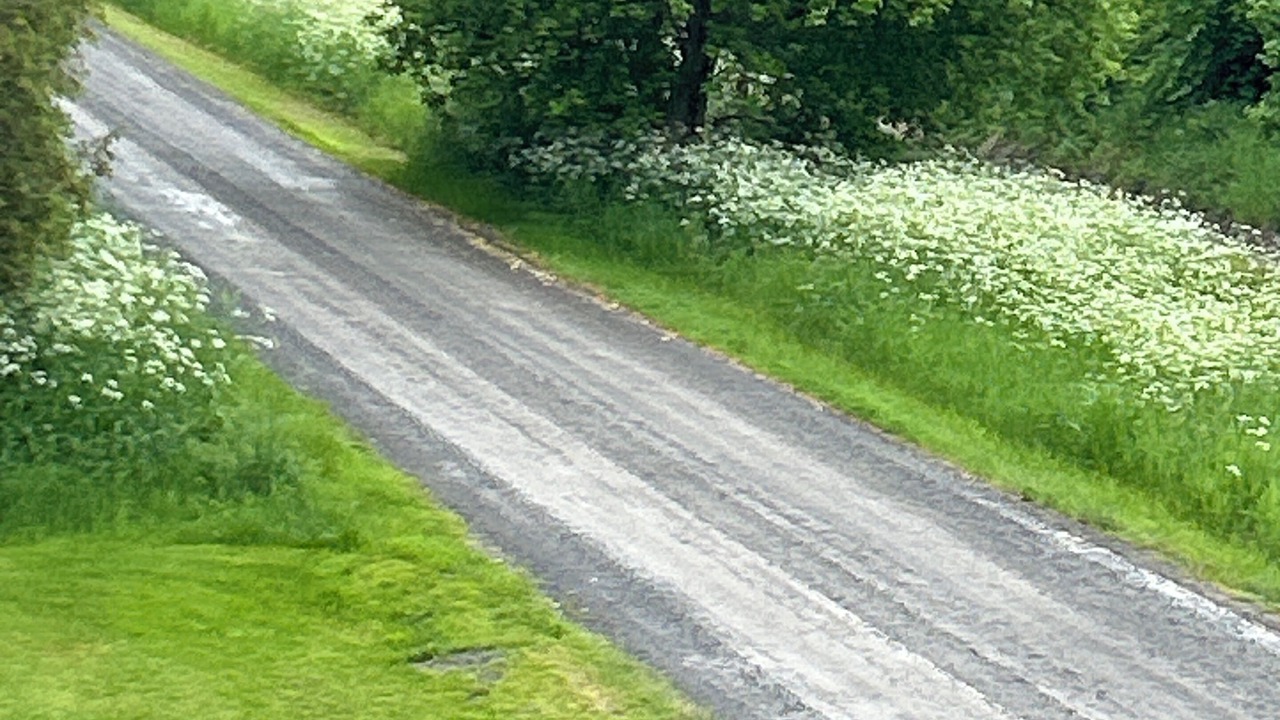 Photo of Others in North Grenville