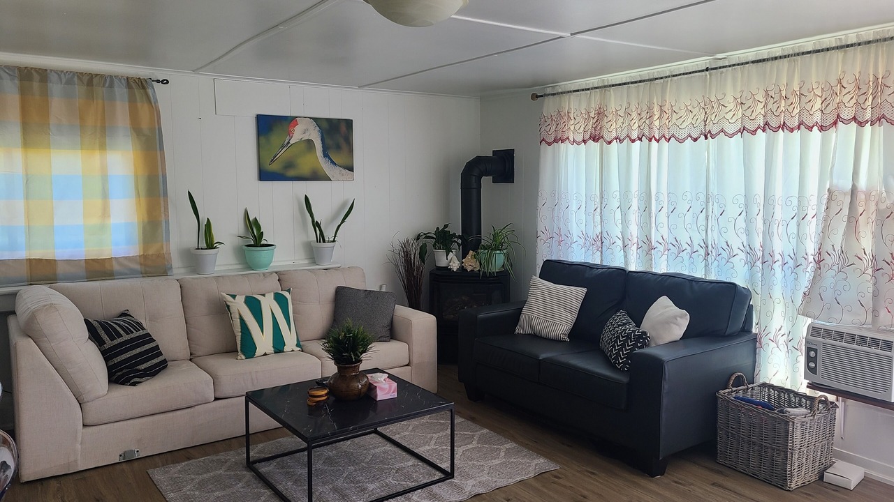 Photo of Livingroom in Selkirk