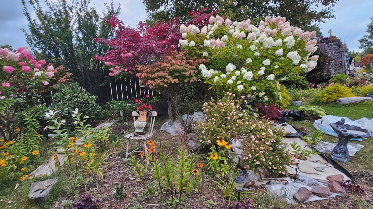 Photo of Outdoor in Grand Falls - Windsor