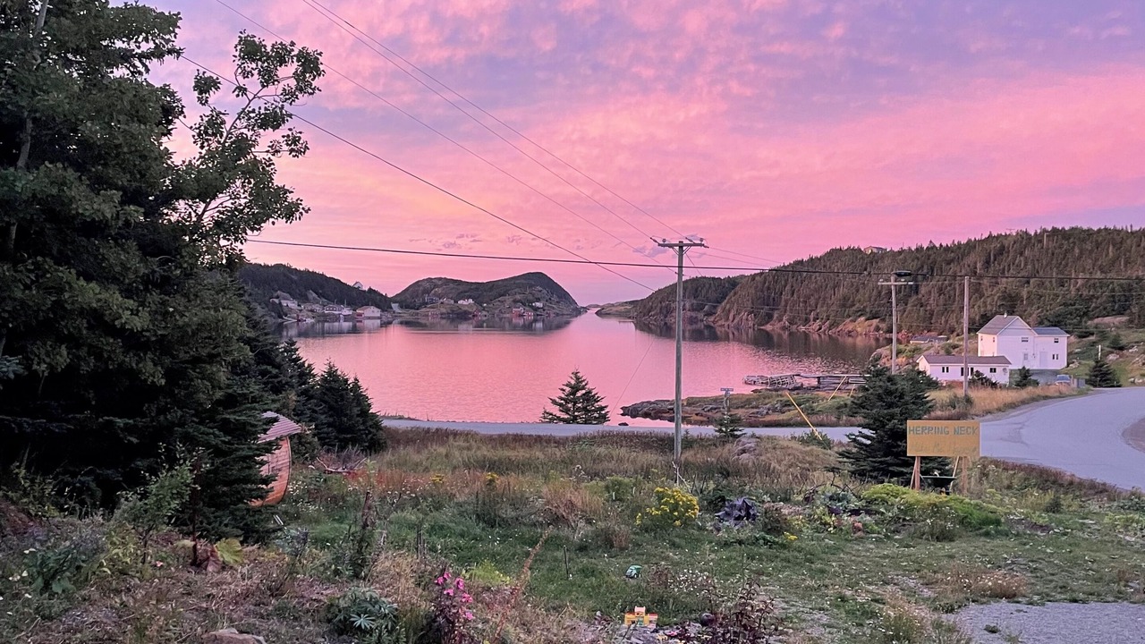 Photo of Others in Salt Harbour