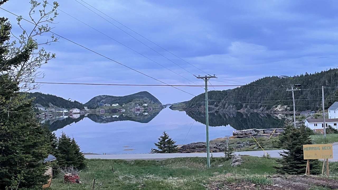 Photo of Others in Salt Harbour