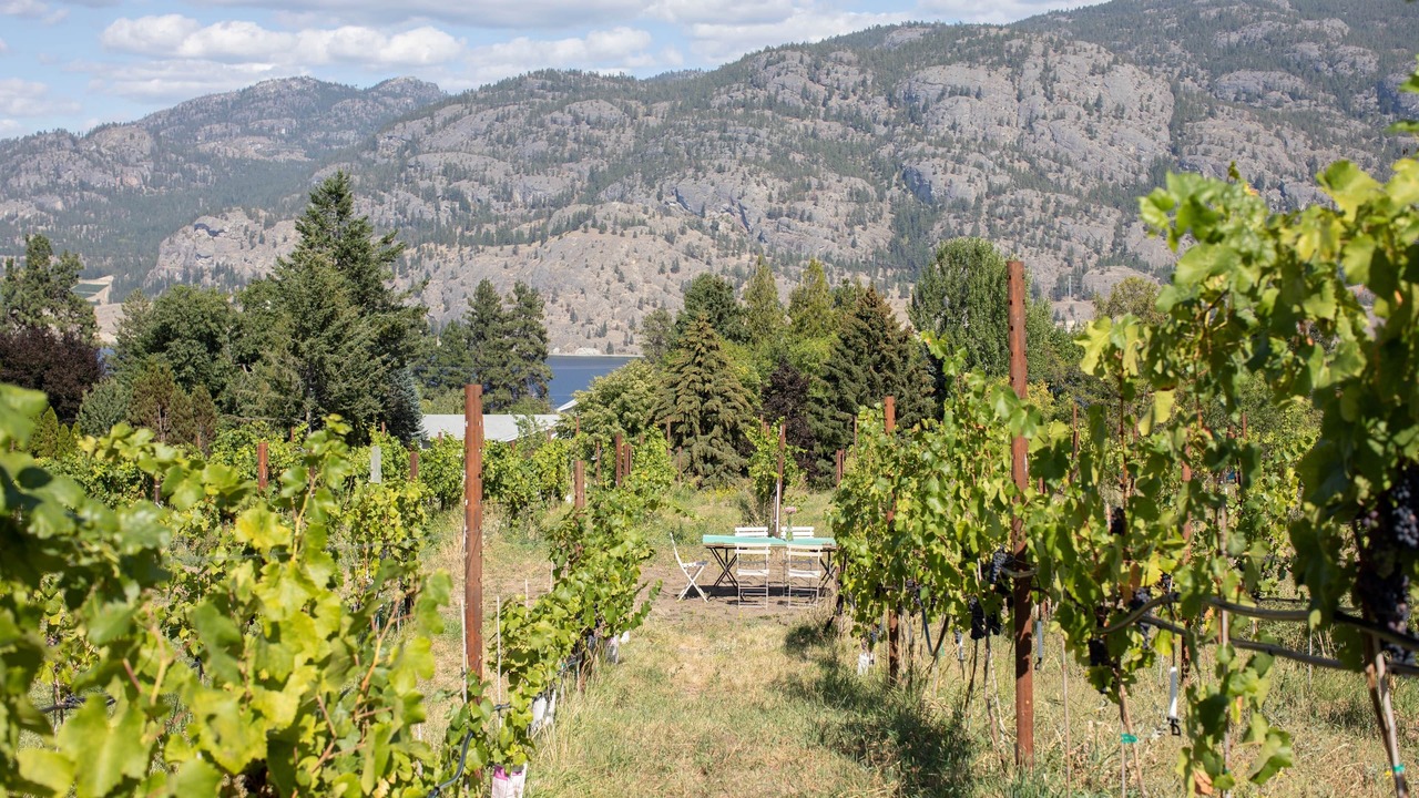 Photo of Others in Okanagan-Similkameen