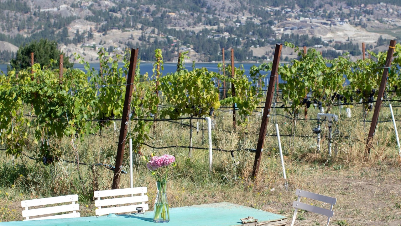 Photo of Others in Okanagan-Similkameen
