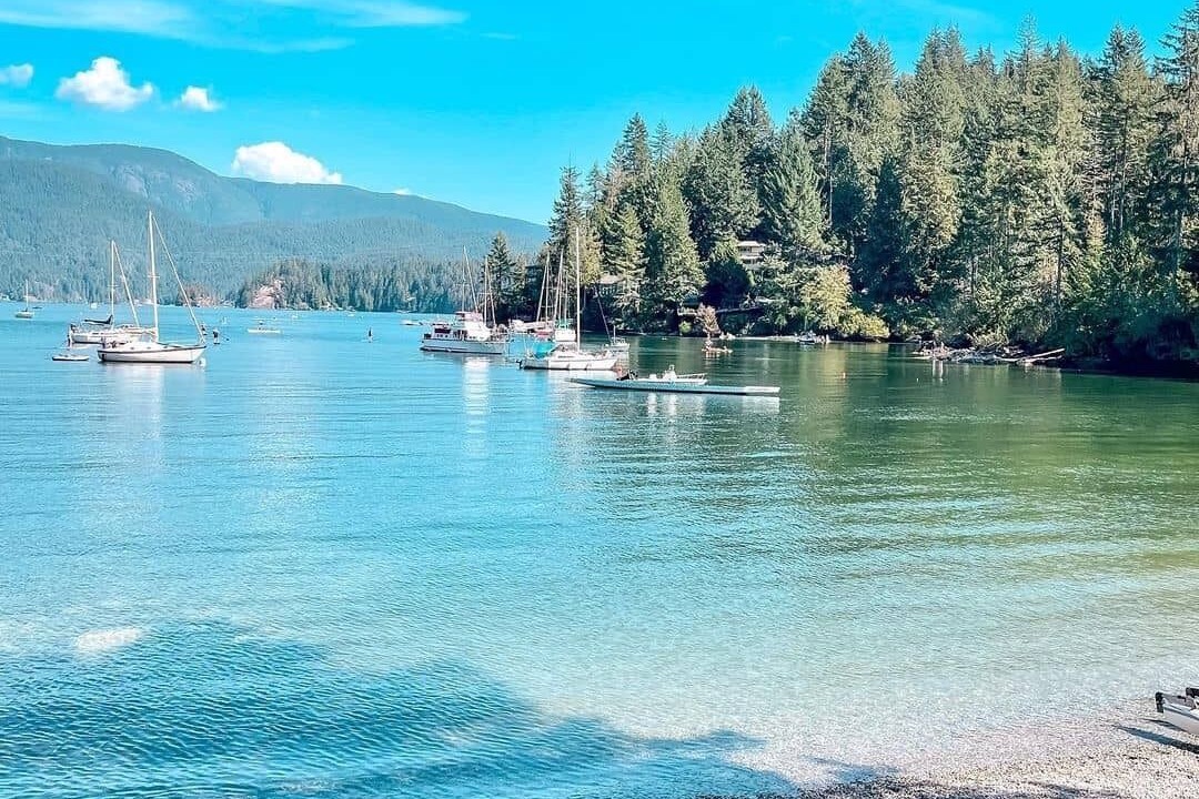 Photo of Others in Deep Cove