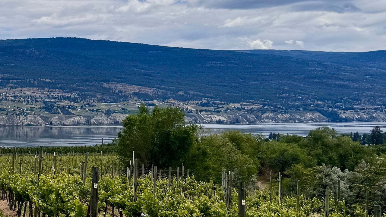 Photo of Others in Okanagan-Similkameen