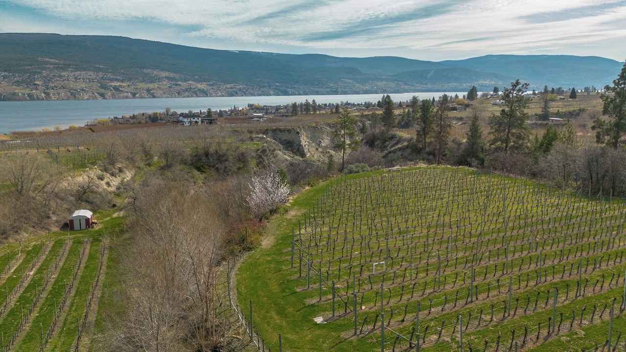 Photo of Others in Okanagan-Similkameen