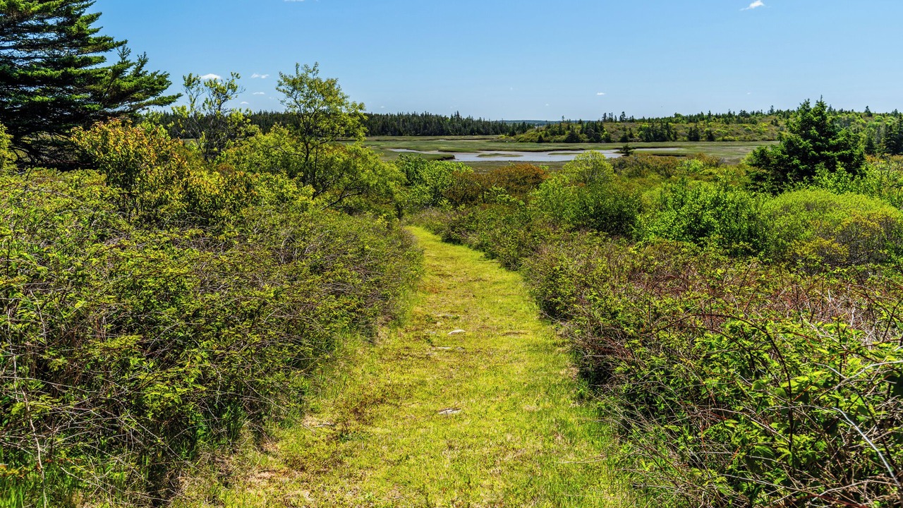 Photo of Others in Yarmouth County