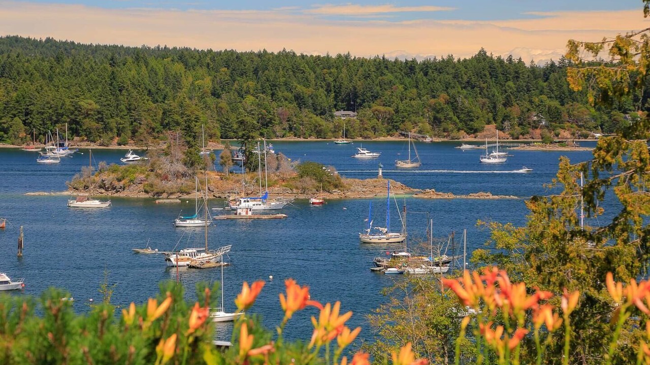 Photo of Others in Salt Spring Island