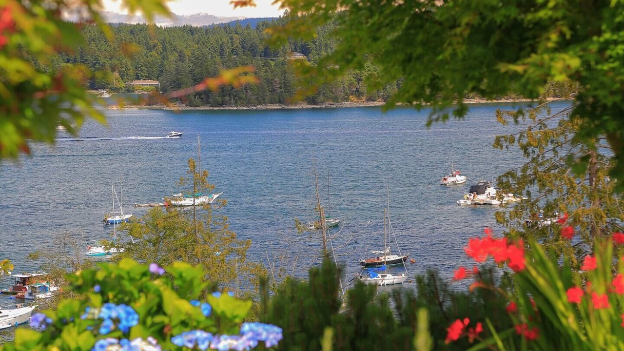 Photo of Others in Salt Spring Island