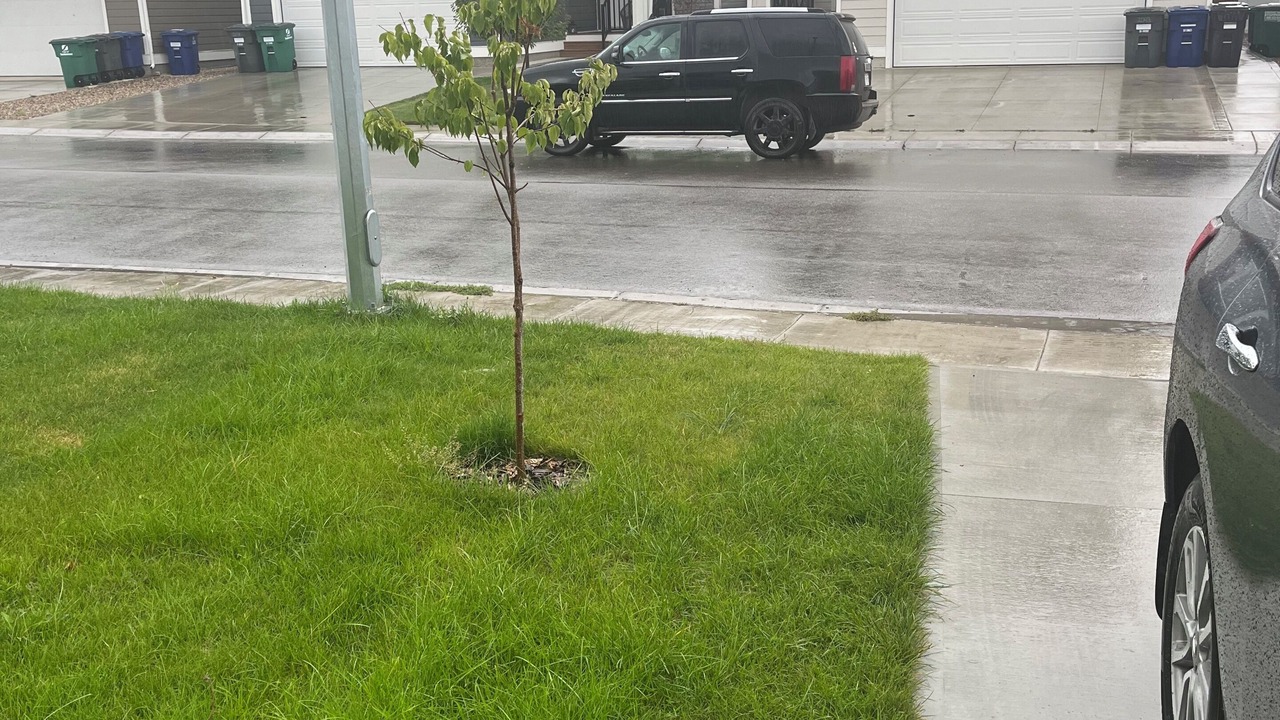 Photo of Outdoor in Saskatoon