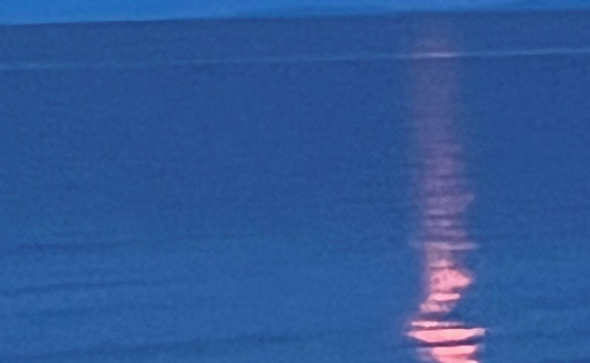 Photo of Others in Campbell River