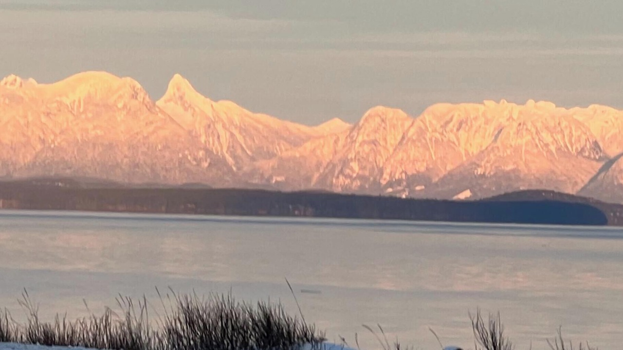 Photo of Others in Campbell River