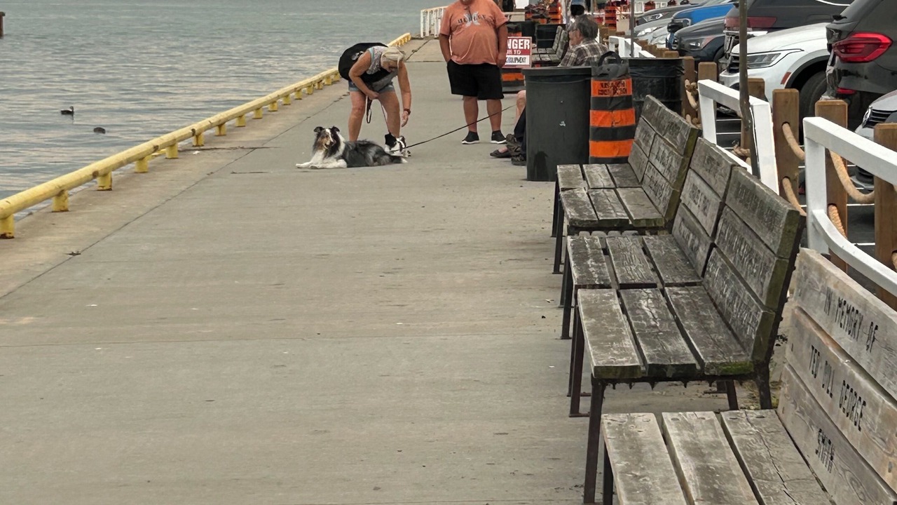 Photo of Others in Port Dover