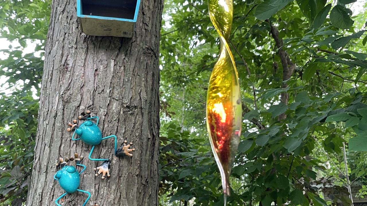 Photo of Outdoor in Willowdale