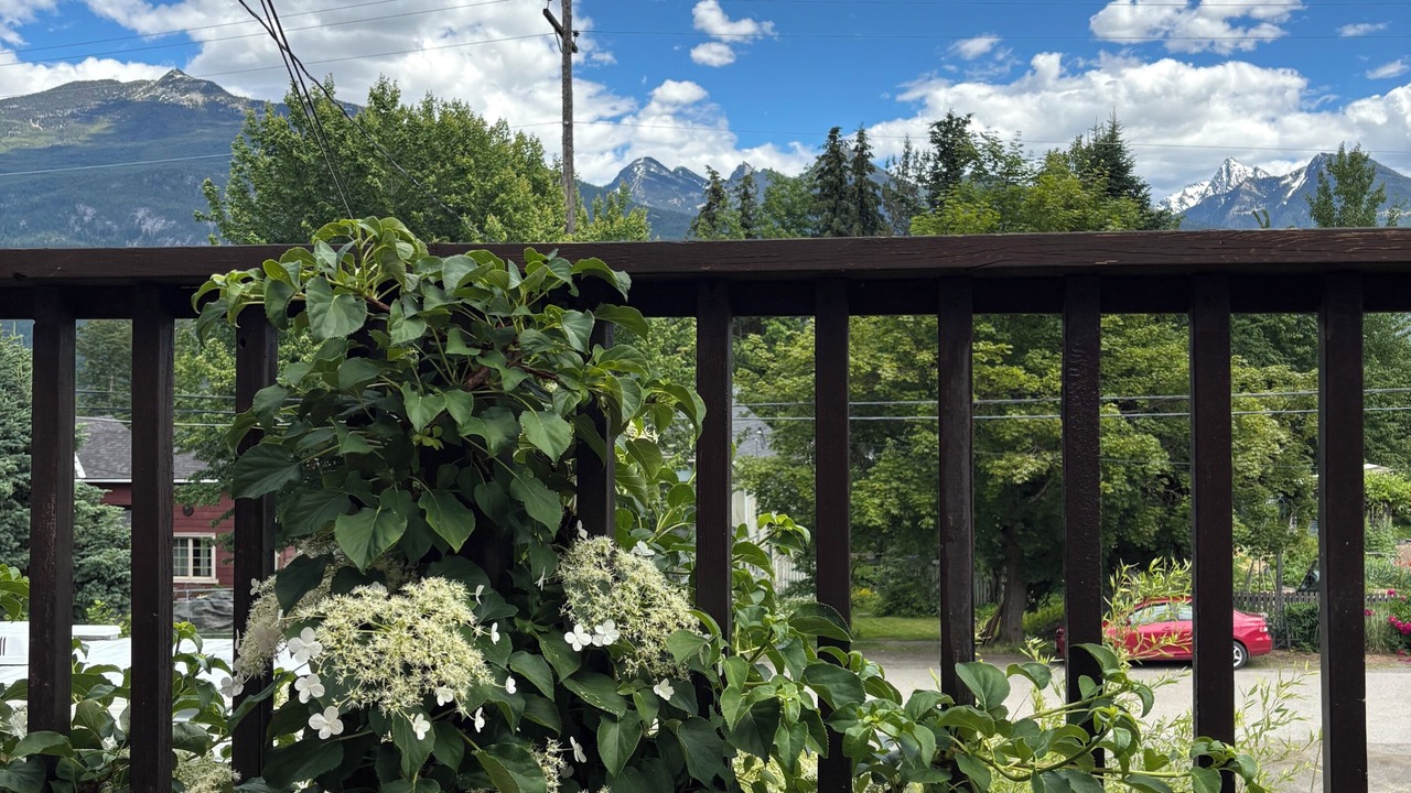Photo of Outdoor in Kaslo
