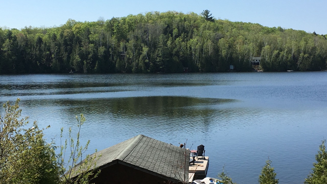Photo of Others in Trent Lakes
