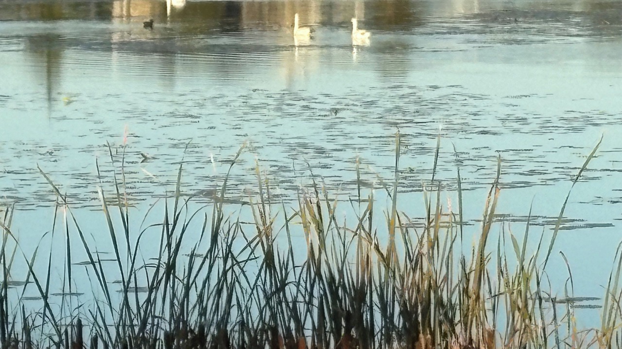 Photo of Outdoor in Cobourg