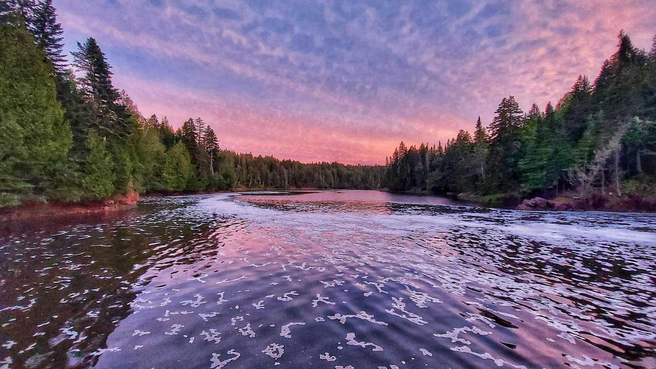 Photo of Others in Lepreau