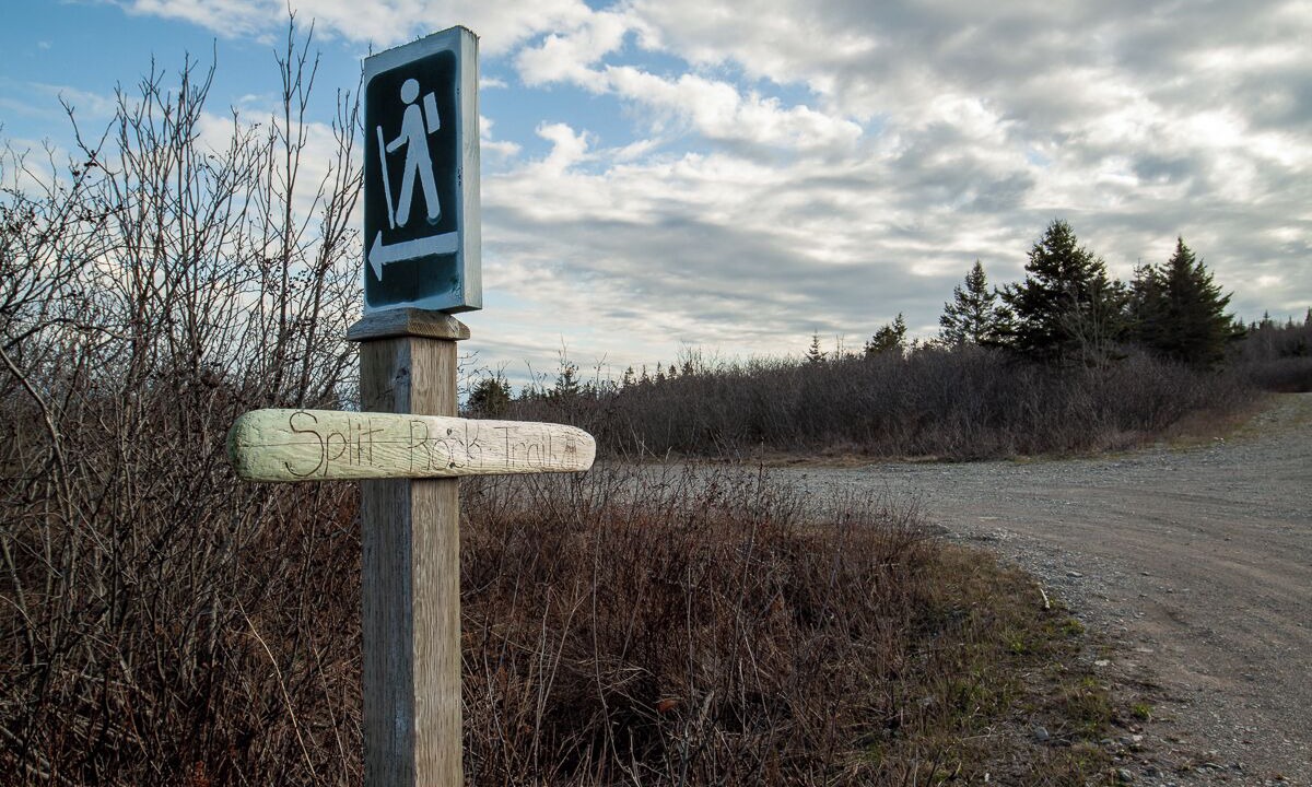 Photo of Others in Lepreau