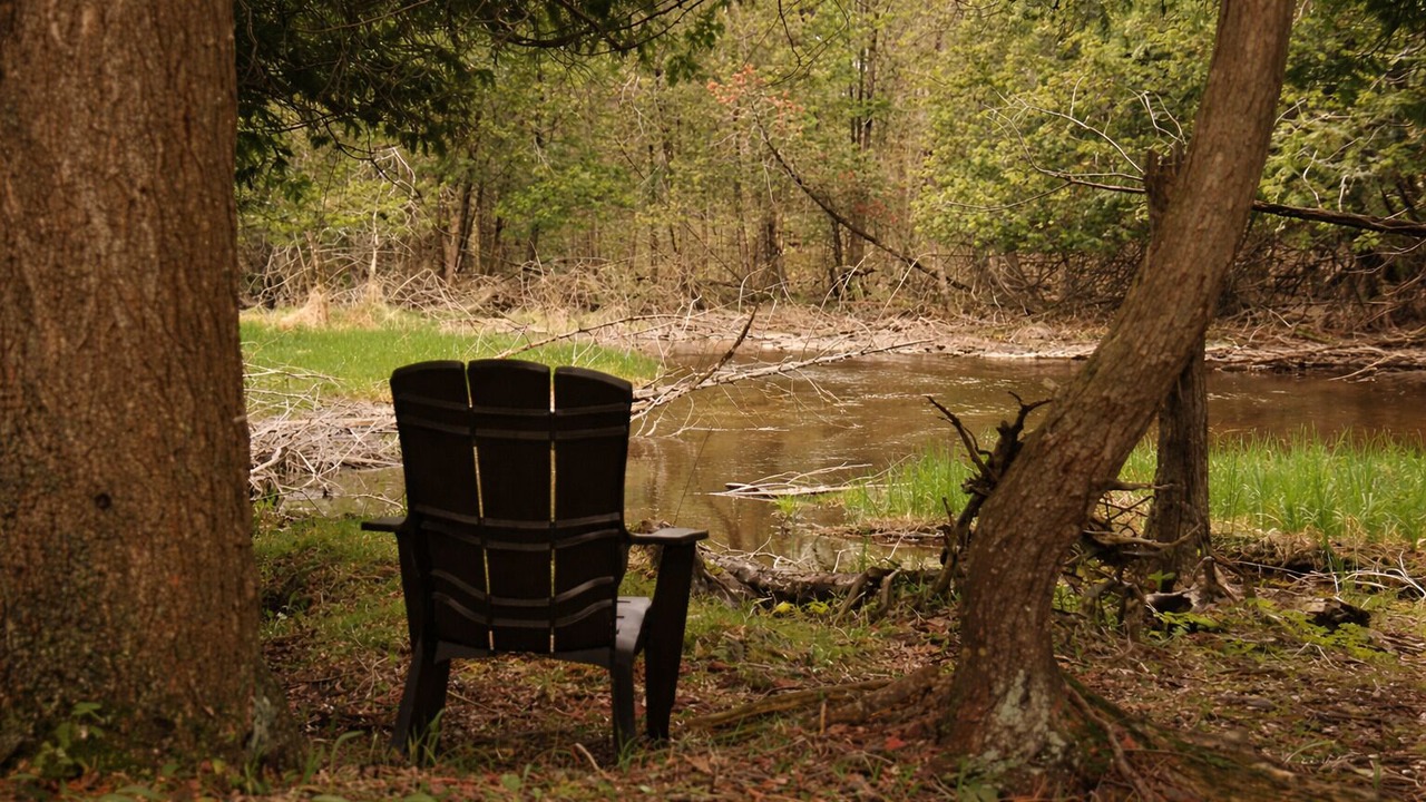 Photo of Others in Markdale