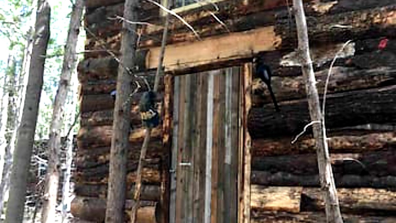 Photo of Outdoor in Markdale