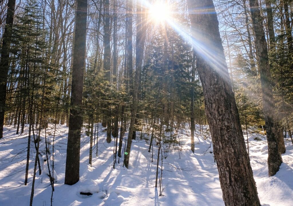 Photo of Others in Markdale
