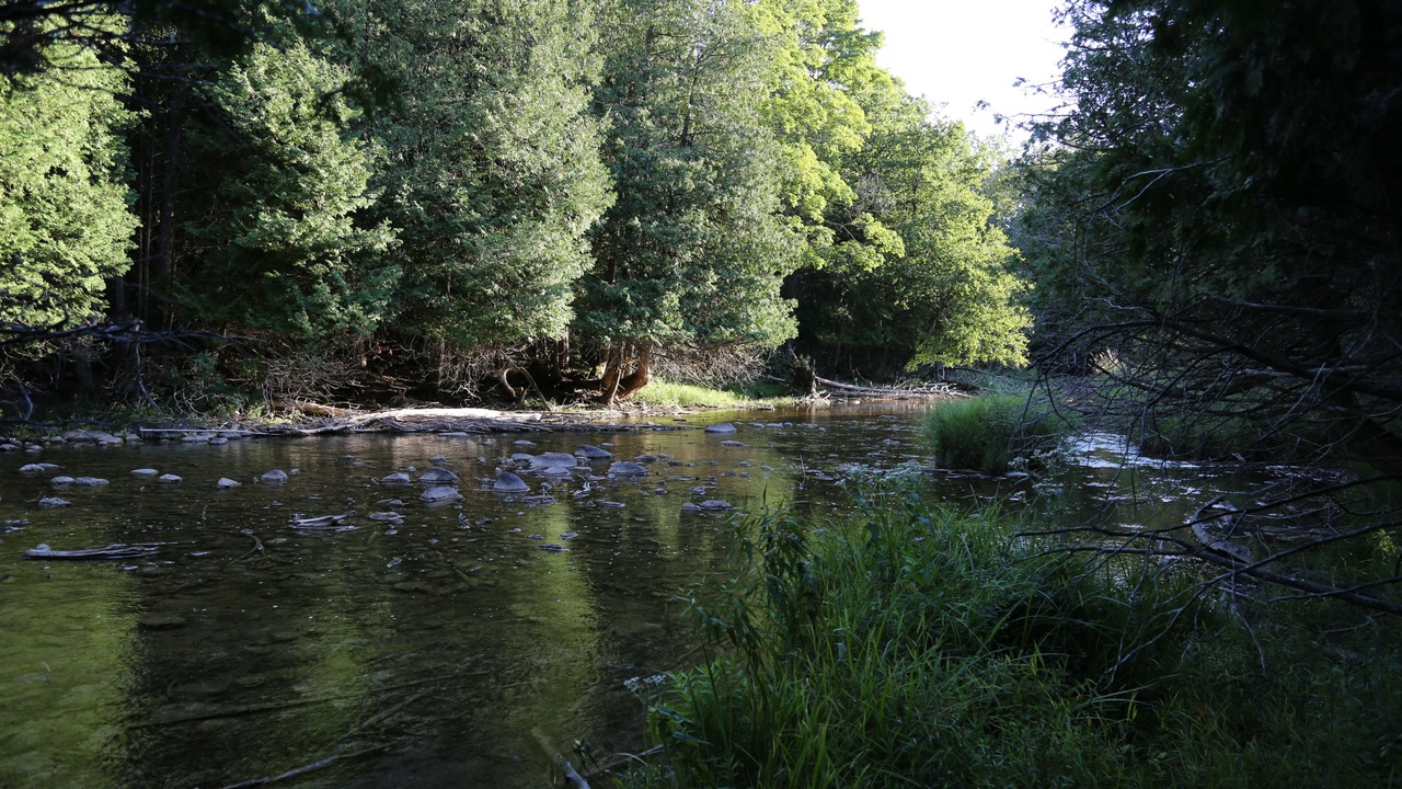 Photo of Others in Markdale