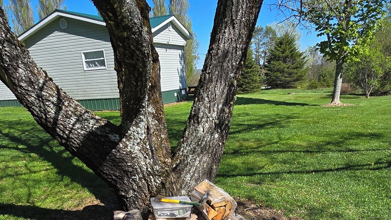 Photo of Outdoor in Waterville