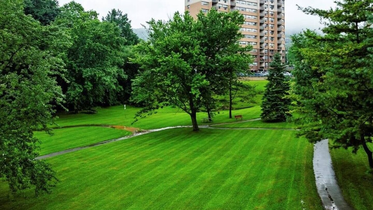 Photo of Outdoor in Hamilton