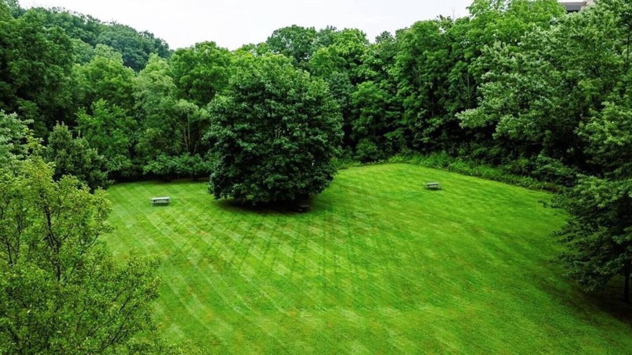 Photo of Outdoor in Hamilton