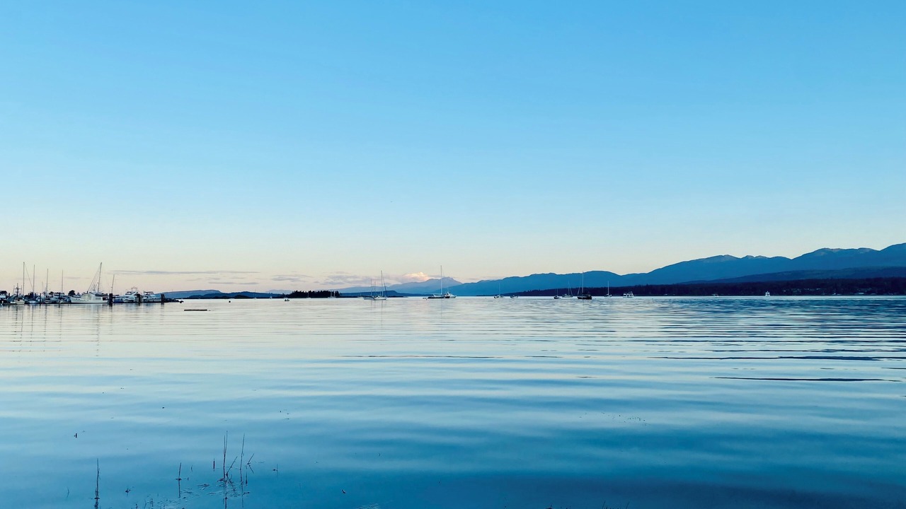 Photo of Others in Comox