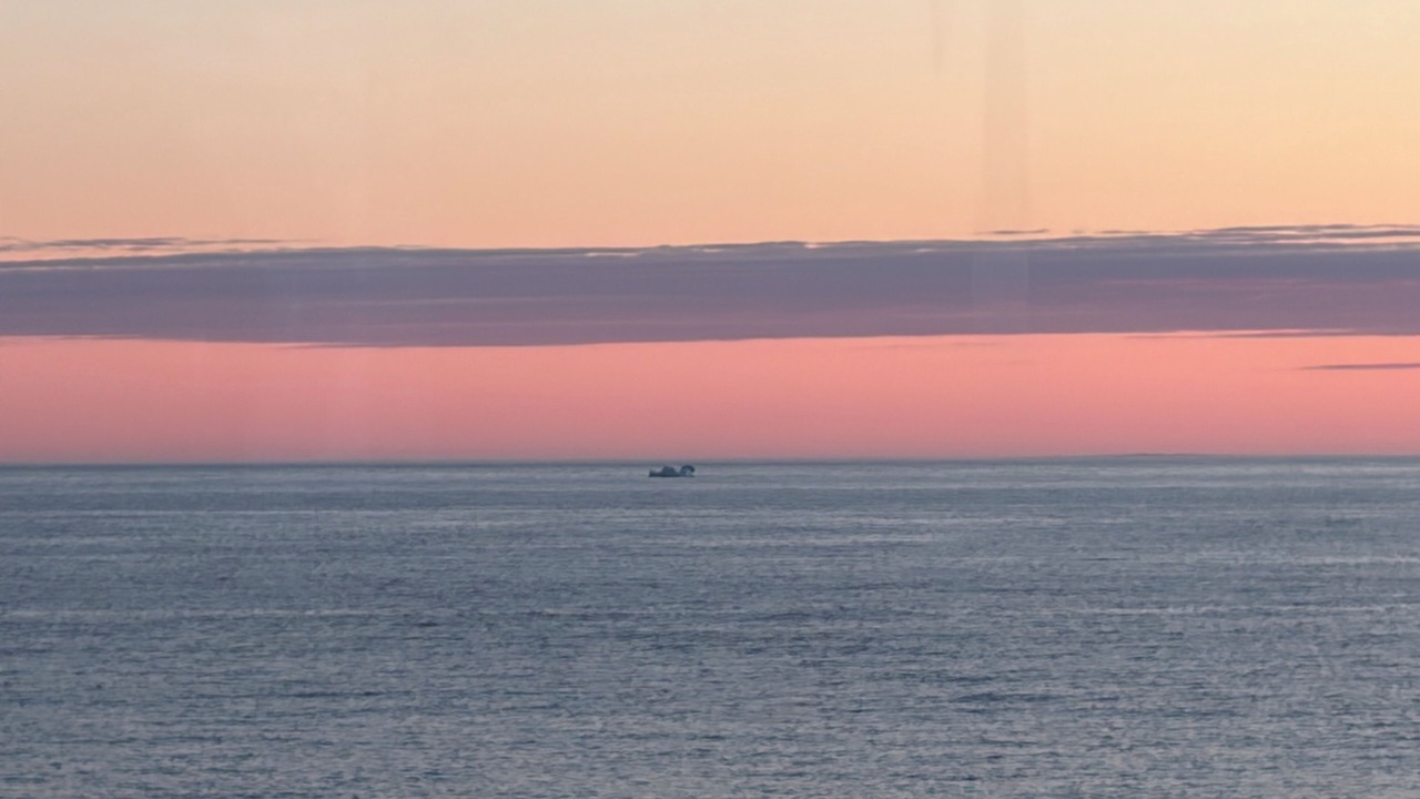 Photo of Others in Twillingate