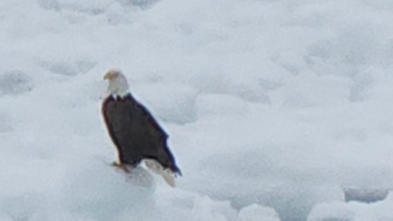Photo of Others in Lewisporte