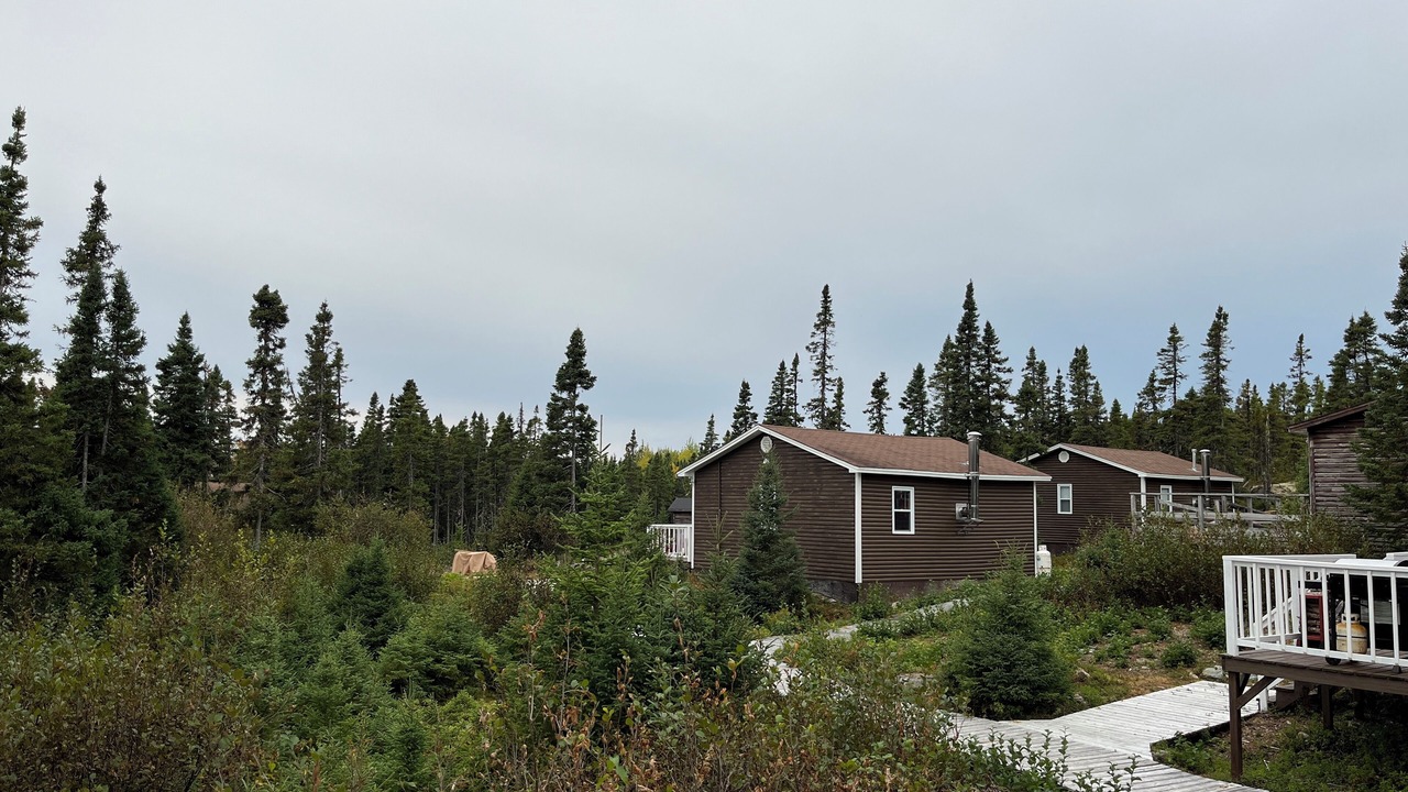 Photo of Others in Indian Bay