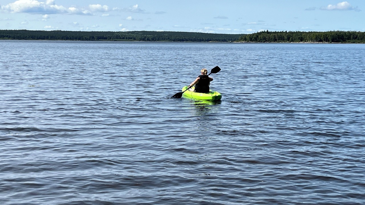 Photo of Others in Indian Bay