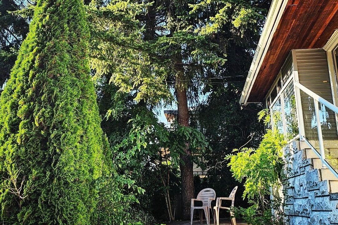 Photo of Patio Balcony in Surrey Newton