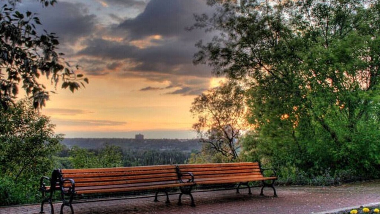 Photo of Others in North Central Edmonton