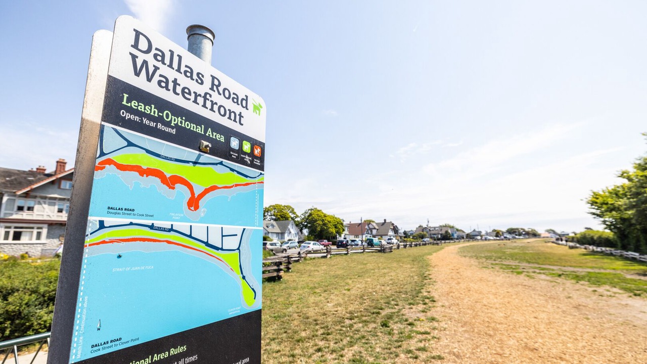 Photo of Outdoor in Harris Green