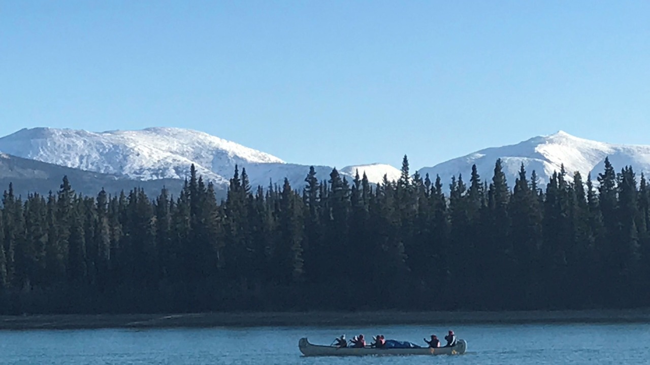Photo of Others in Whitehorse