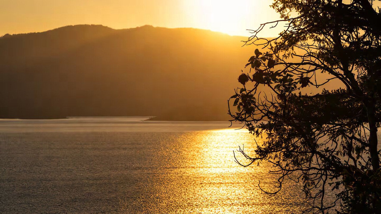 Photo of Others in Pender Island