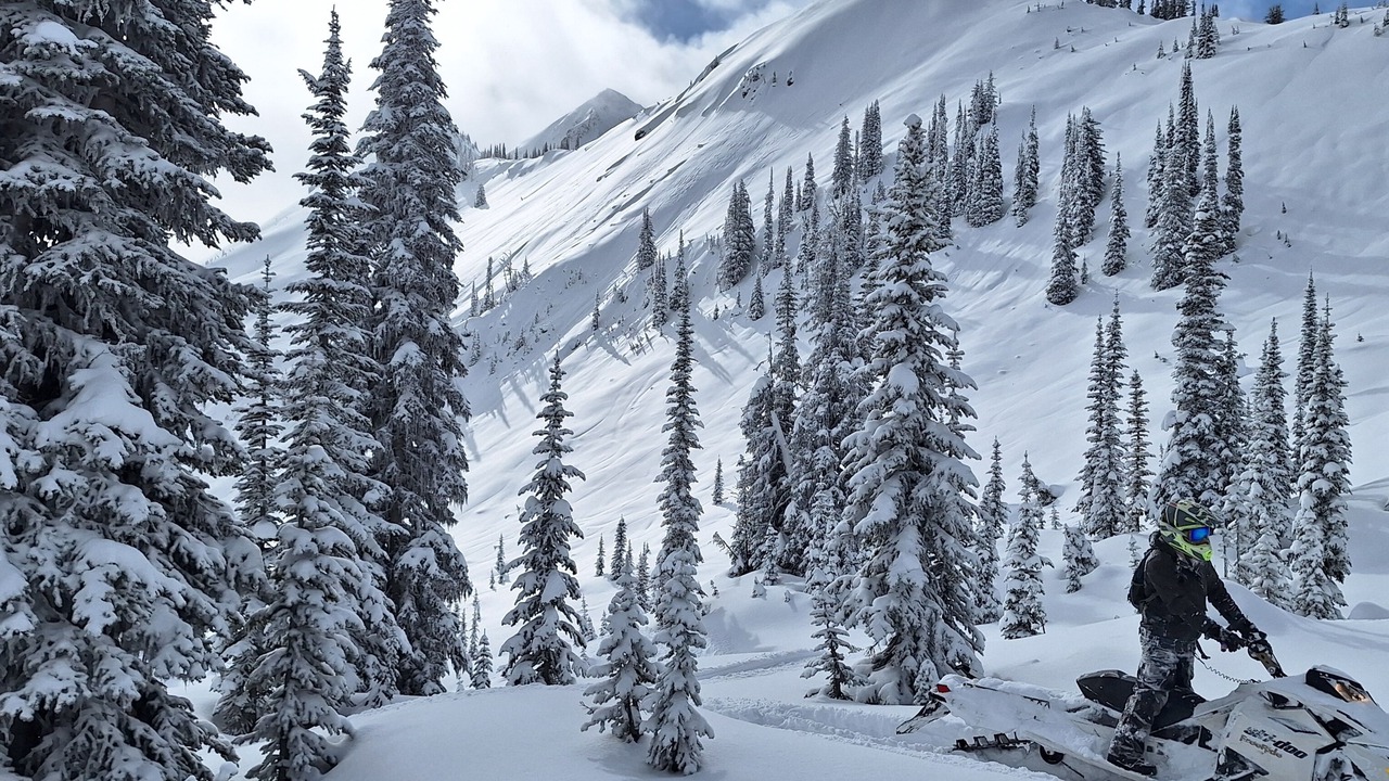 Photo of Others in Retallack