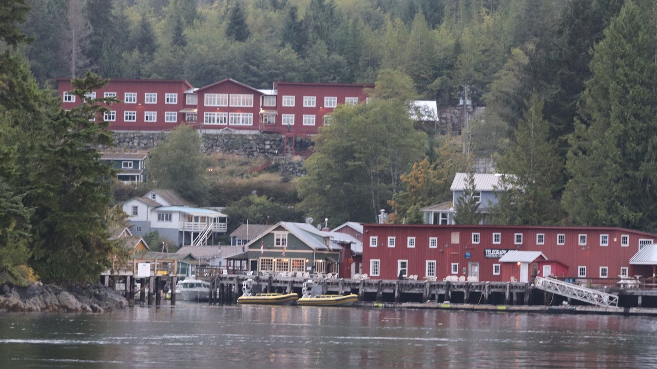 Photo of Outdoor in Telegraph Cove