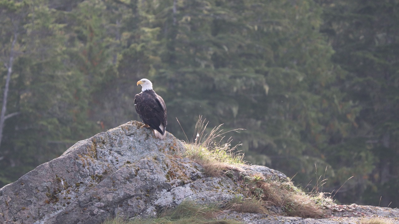 Photo of Outdoor in Telegraph Cove