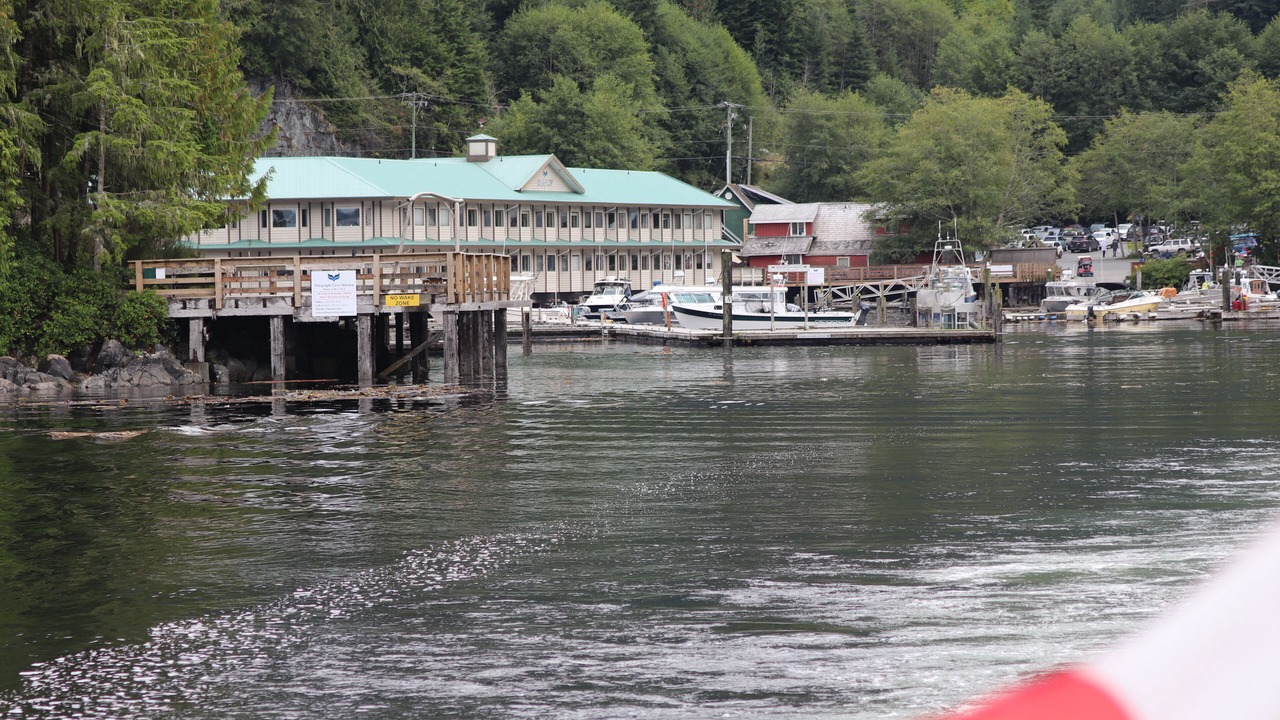 Photo of Others in Telegraph Cove