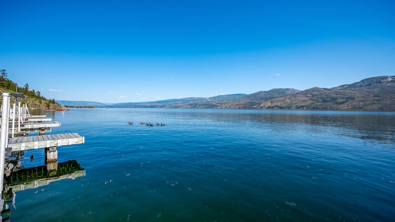 Photo of Others in Central Okanagan