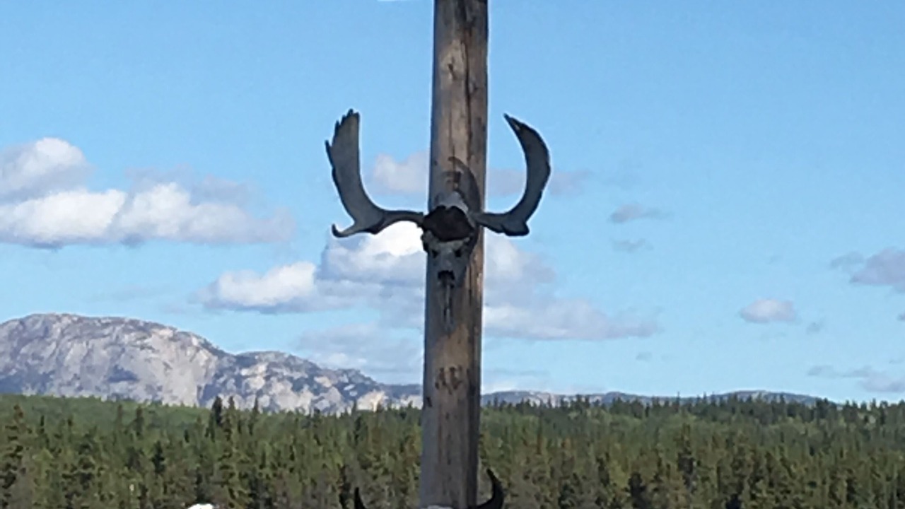 Photo of Others in Tagish