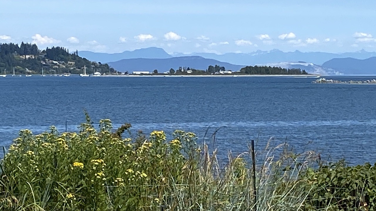 Photo of Others in Courtenay