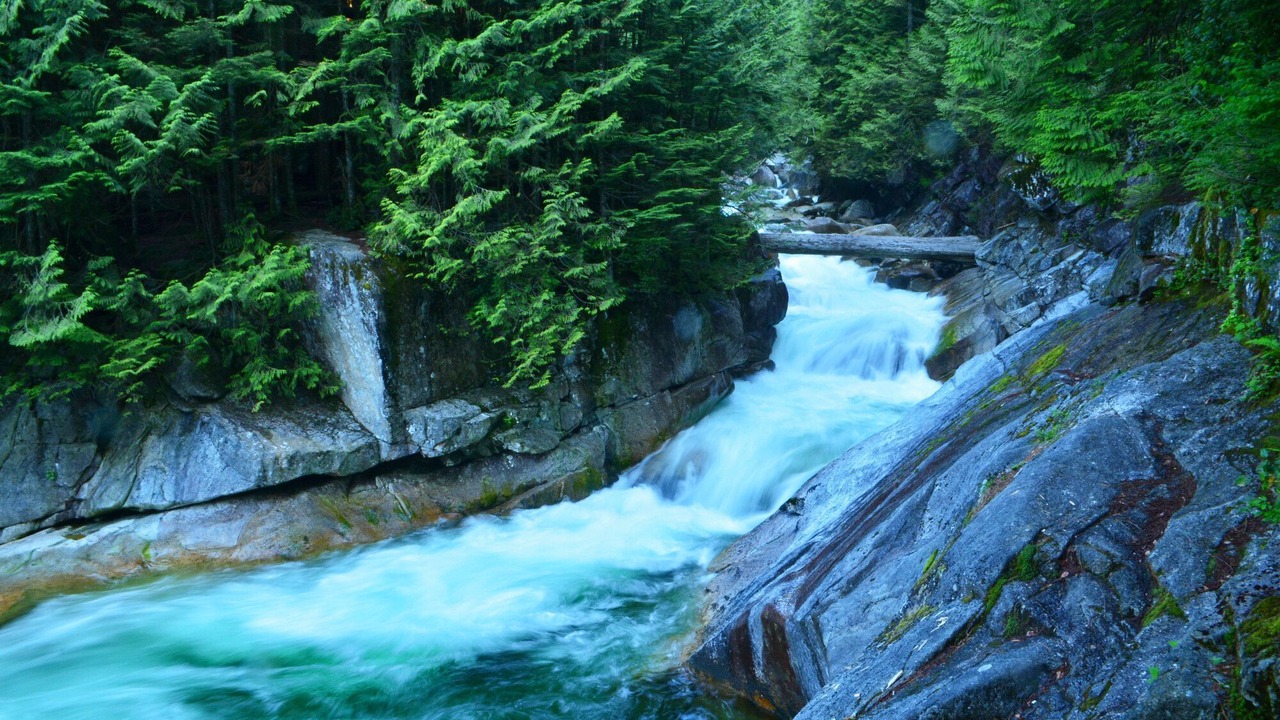 Photo of Others in Maple Ridge