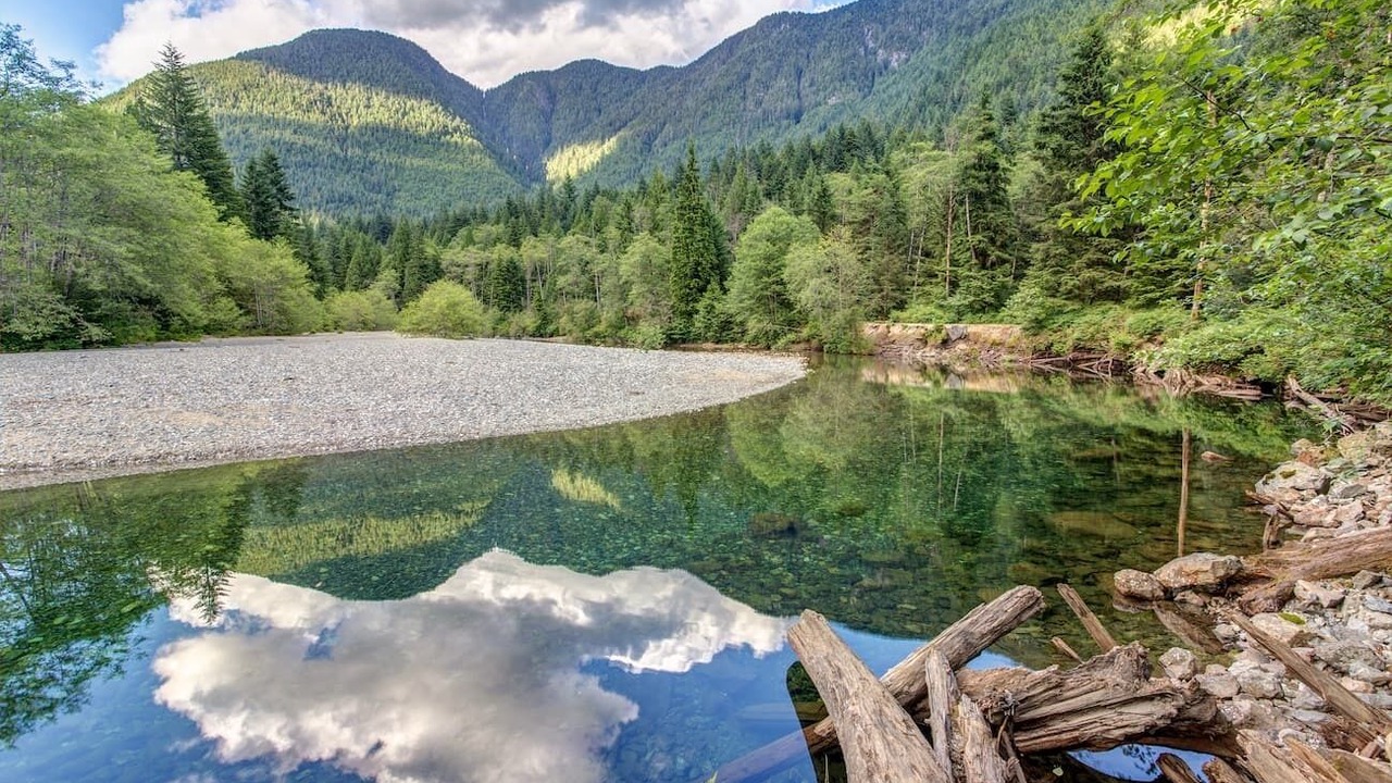 Photo of Others in Maple Ridge