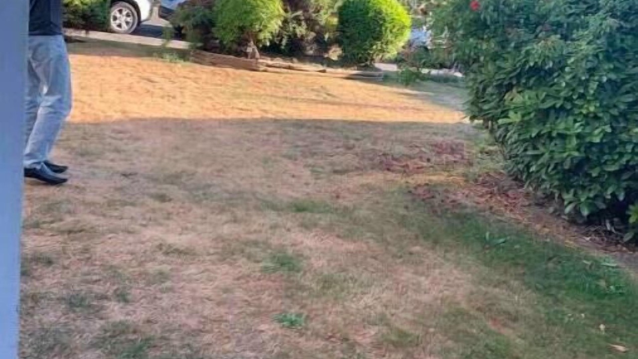 Photo of Outdoor in Newton